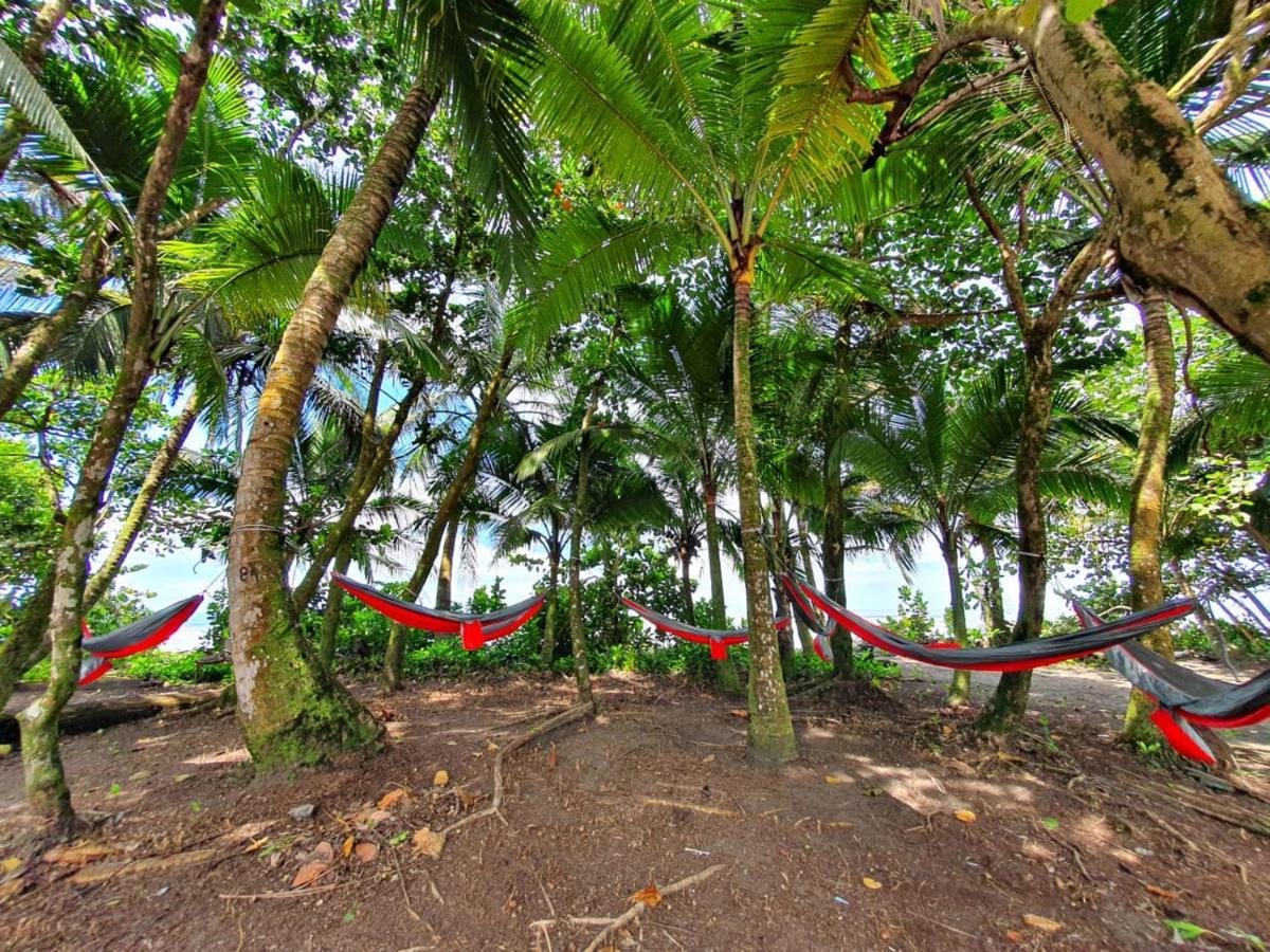 Ferienwohnung Caribbean View Tortuguero Exterior foto