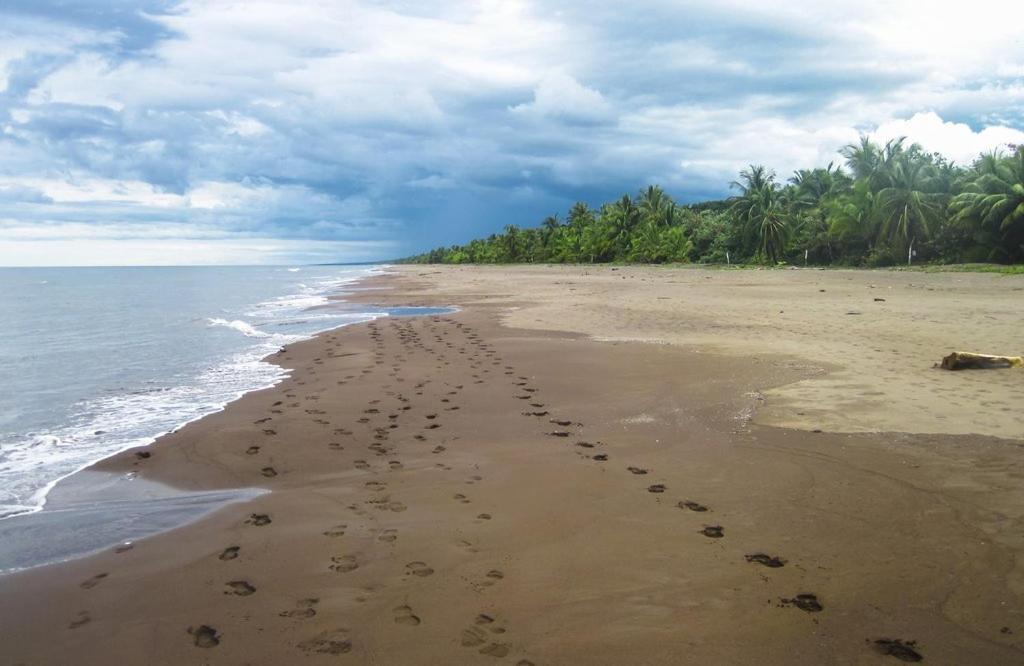 Ferienwohnung Caribbean View Tortuguero Exterior foto