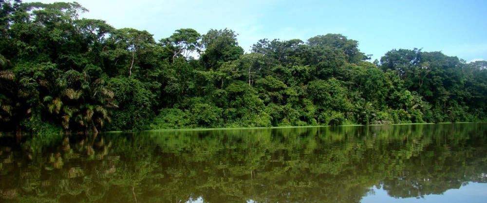 Ferienwohnung Caribbean View Tortuguero Exterior foto