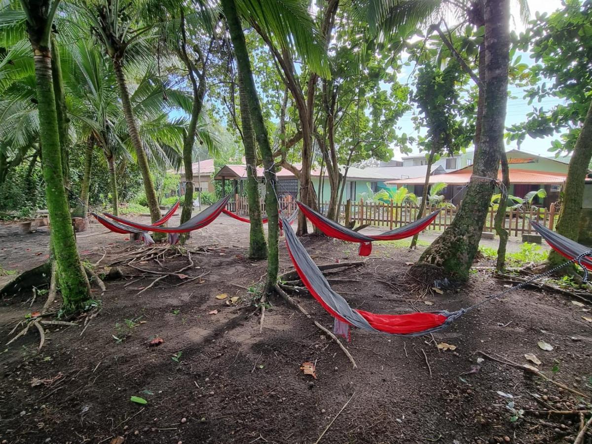 Ferienwohnung Caribbean View Tortuguero Exterior foto