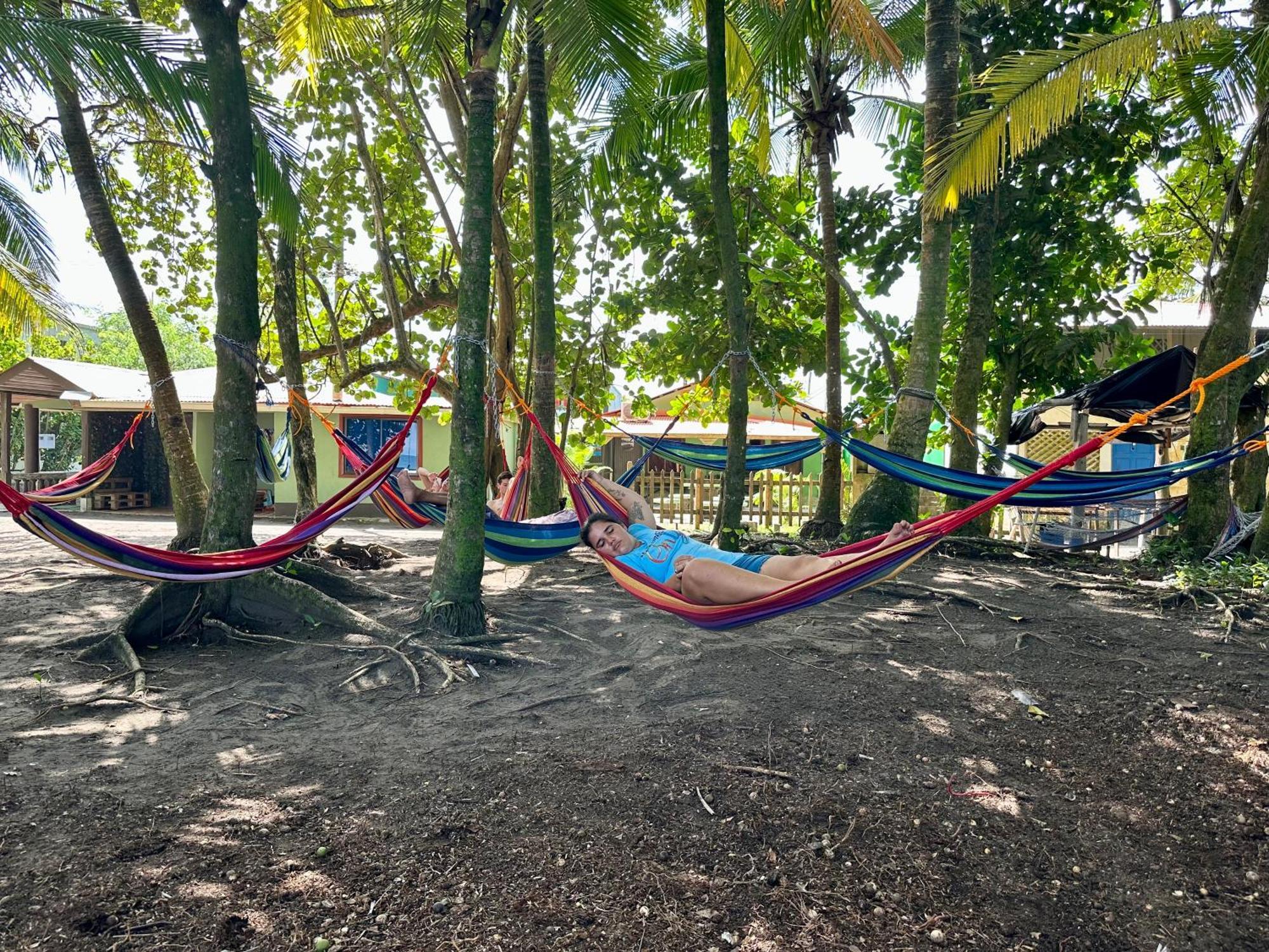 Ferienwohnung Caribbean View Tortuguero Exterior foto